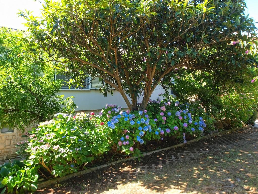 Apartments Vlasta 1410 普莱曼图拉 外观 照片